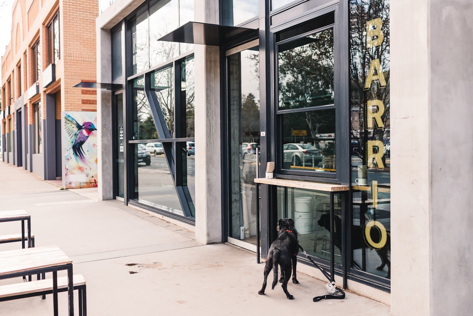 Barrio Collective Coffee roastery