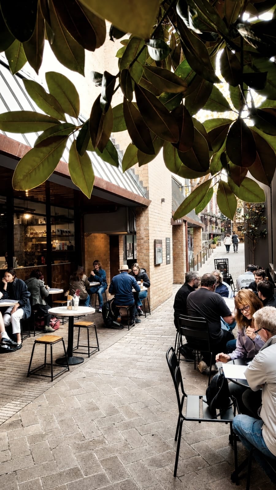 Specialty coffee in The Rocks, Australia