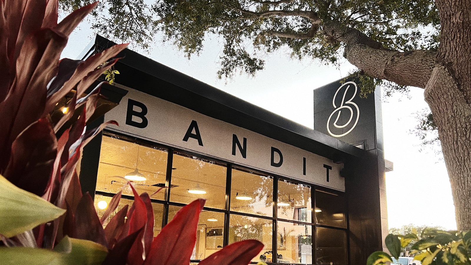 Specialty coffee in St. Petersburg, United States