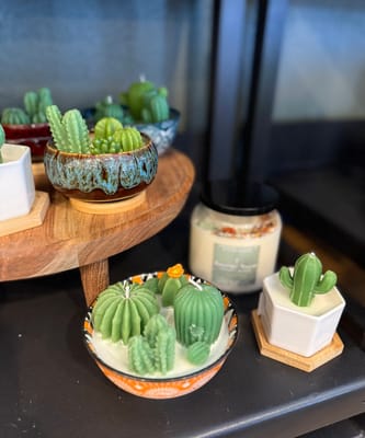 Photo of Sonoran House Sam Hughes