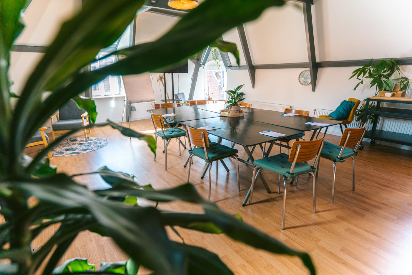 Specialty coffee in Alkmaar, Netherlands