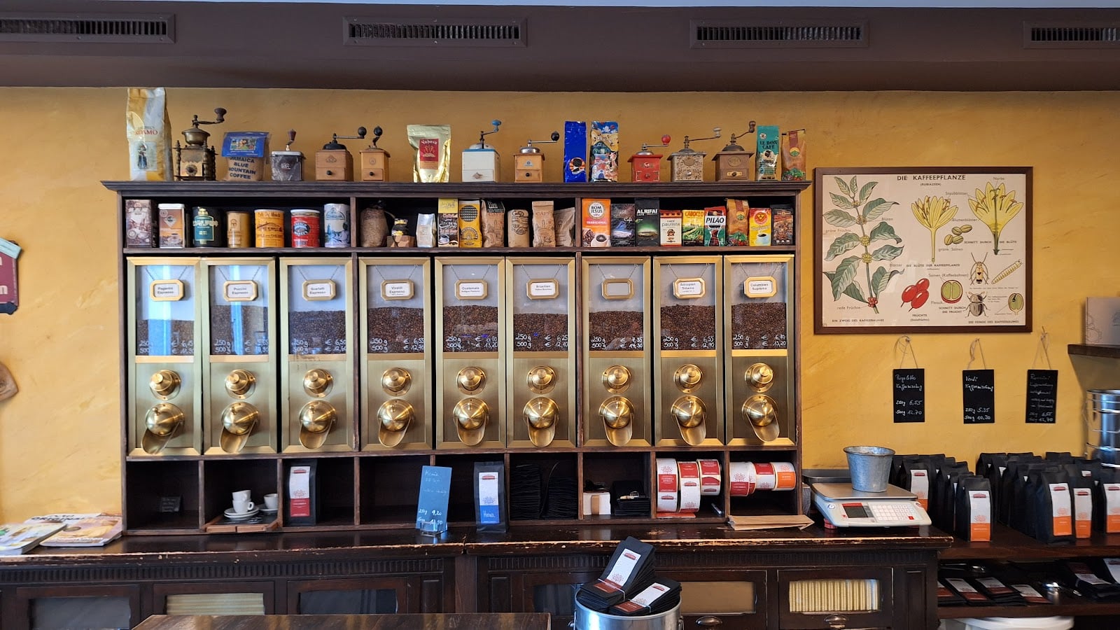 Specialty coffee in Dornbirn, Austria